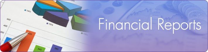 2025 Financial Report