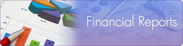 2025 Financial Report